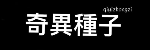 OnlyFans हेडर तस्वीर qiyizhongzi