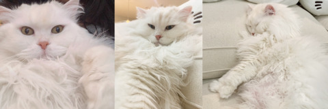 OnlyFans Titelbild quqco