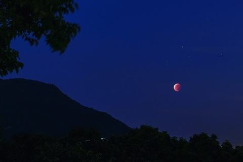 OnlyFans üst resmi raccoon1069