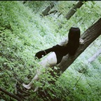 OnlyFansのプロフィール写真ravenreigns