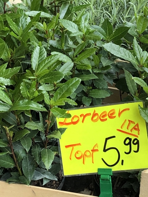 OnlyFans kopafbeelding raweggeddy