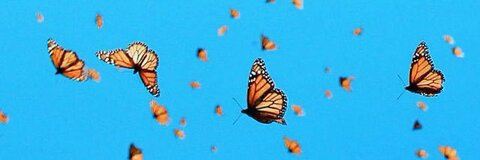 OnlyFans हेडर तस्वीर rayraywhit