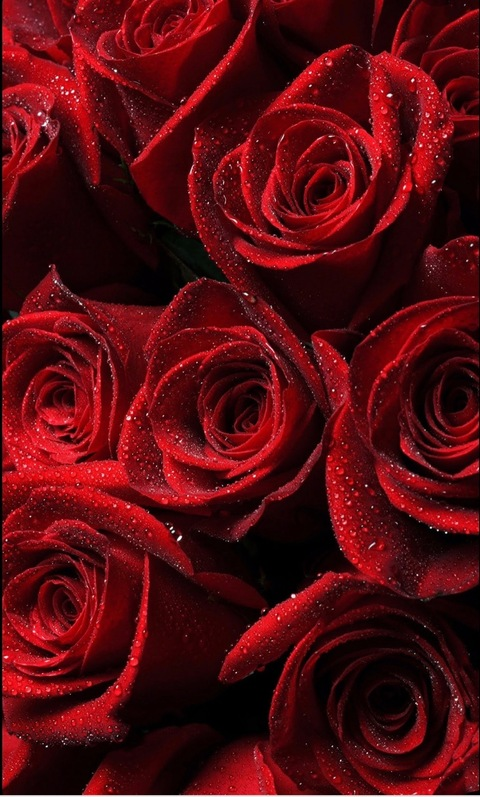 Obraz nagłówka OnlyFans redbaby01