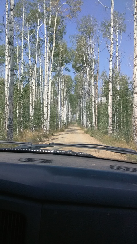 OnlyFansヘッダー写真 redneckgir7