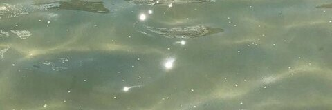 صورة رأس OnlyFans reg_gomez