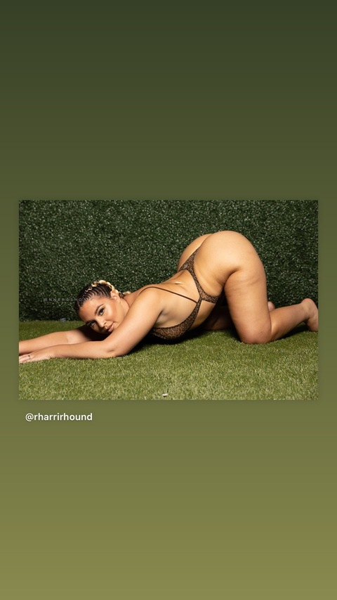 Imagen de encabezado de OnlyFans de rharrirhound