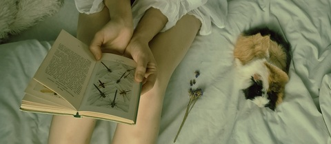 OnlyFans 헤더 사진 rinaalyys