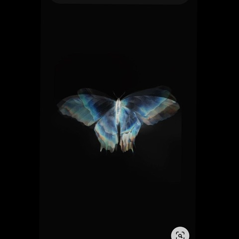 Obraz nagłówka OnlyFans romandenisss