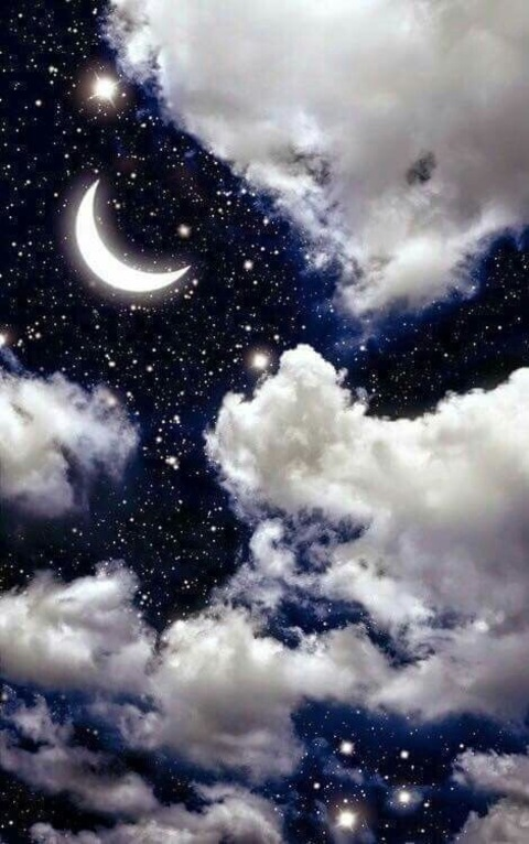 صورة رأس OnlyFans roxyfox