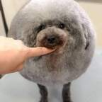 Аватар профиля OnlyFans rudi68