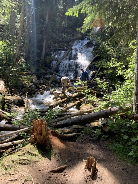 Obraz nagłówka OnlyFans rulpserqueen