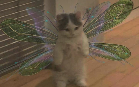 Gambar header OnlyFans saagaurora