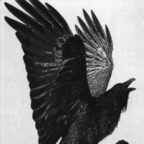 Foto profil OnlyFans sadlovestory