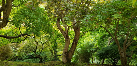 Image d'en-tête OnlyFans sammiemarie