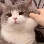 Foto profil OnlyFans satancake