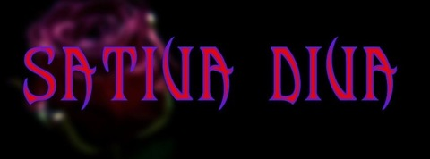 Imagem de cabeçalho do OnlyFans sativathediva69