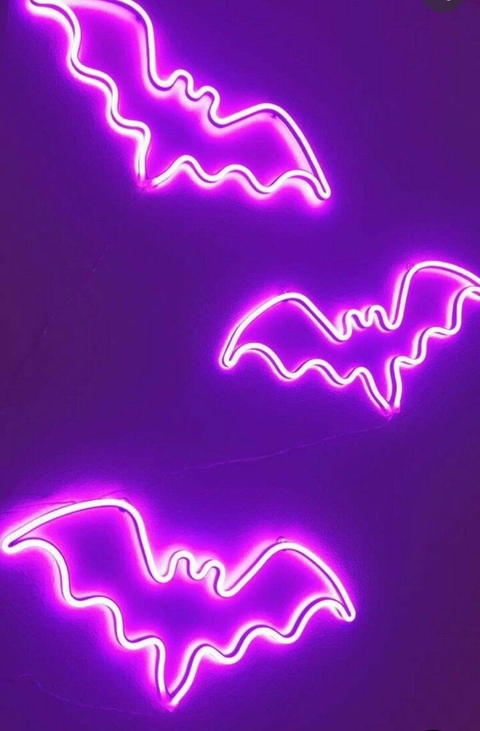 Image d'en-tête OnlyFans savannahsteel