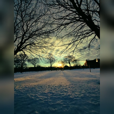 OnlyFans üst resmi scorpiosex13