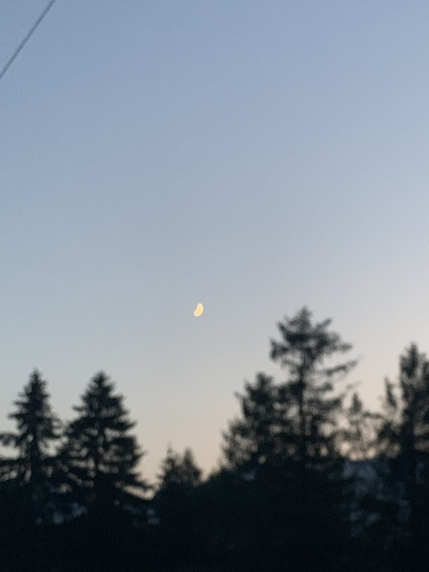 صورة رأس OnlyFans segodnyai