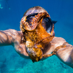 OnlyFans profil resmi shangerdanger