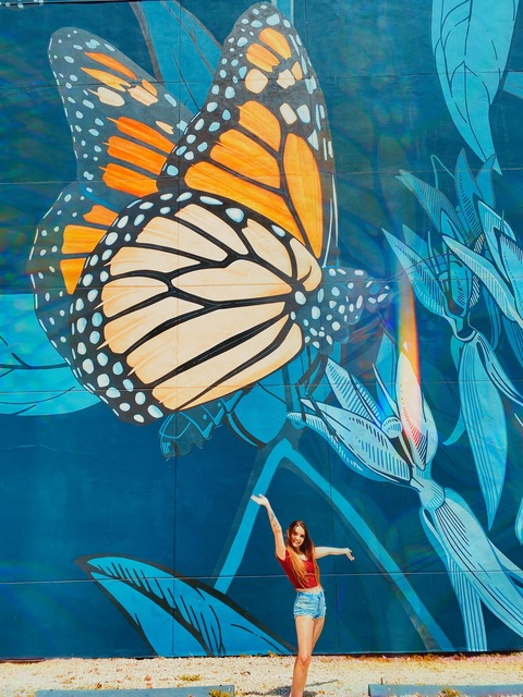 OnlyFans हेडर तस्वीर shelbyleefitz12