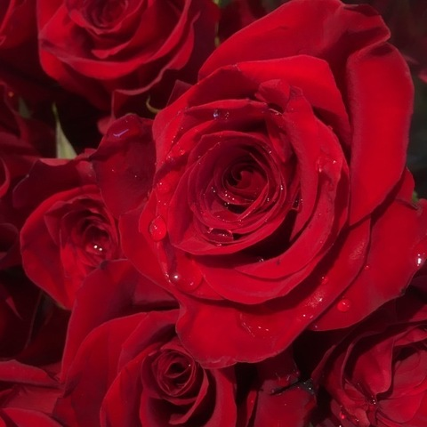 Imagem de cabeçalho do OnlyFans shesatlantis