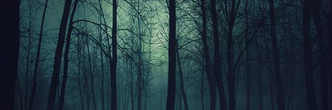 OnlyFansヘッダー写真 shows