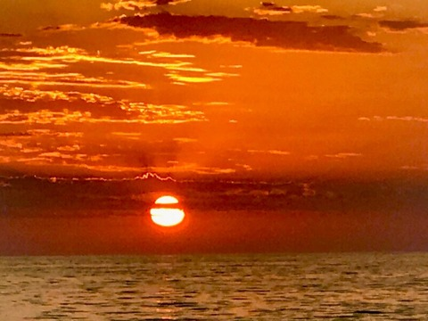 Image d'en-tête OnlyFans shyhousemom