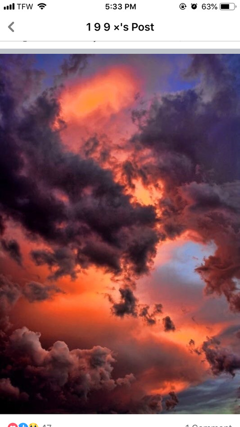 OnlyFans 헤더 사진 shyladream