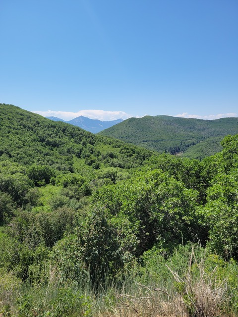 Obraz nagłówka OnlyFans silentninja6