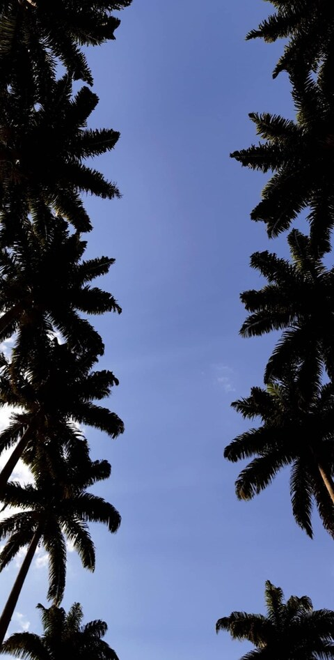 Immagine di copertina OnlyFans skatist23cm