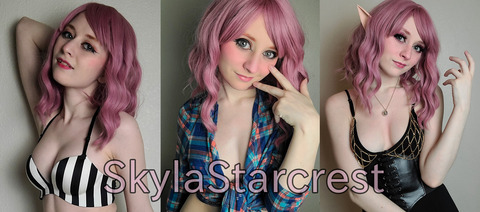OnlyFansヘッダー写真 skylastarcrests