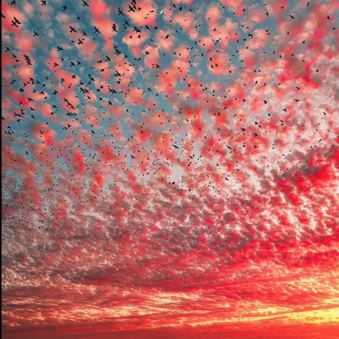 OnlyFans हेडर तस्वीर snixxxxx