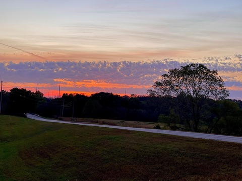 Изображение шапки OnlyFans sommer_bummer