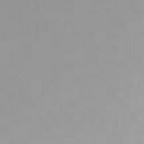 OnlyFans profile picture sq420