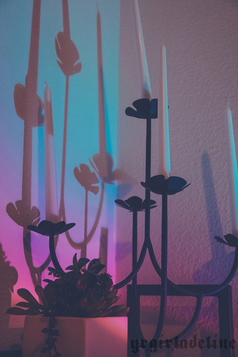 Imagen de encabezado de OnlyFans de ssbbwadeline