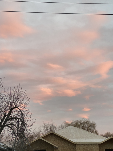 OnlyFansヘッダー写真 ssiifftt