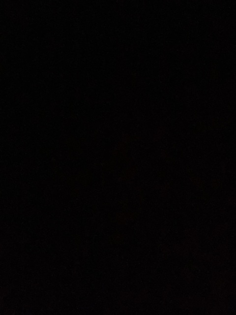 OnlyFansヘッダー写真 steele.foster