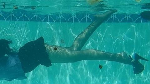 OnlyFans हेडर तस्वीर stellaaeternum