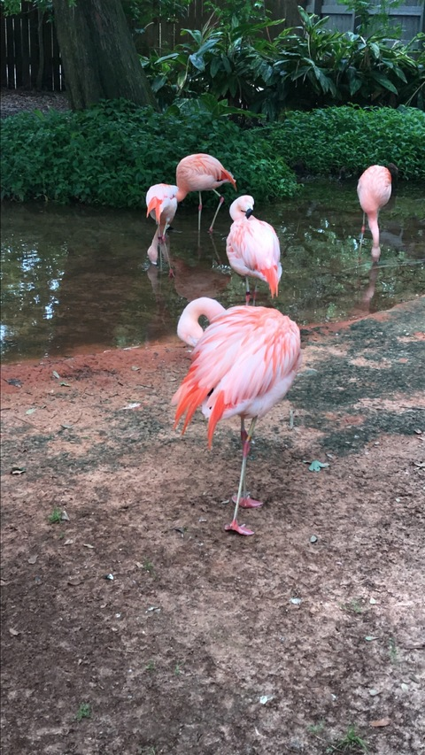 OnlyFansヘッダー写真 stephthestar