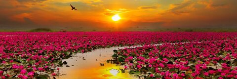 Imagem de cabeçalho do OnlyFans sthomisthebomb