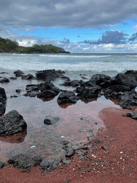 Изображение шапки OnlyFans suc.u.bus