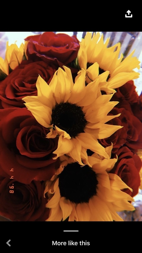 Снимка на заглавие на OnlyFans sunshinecortez