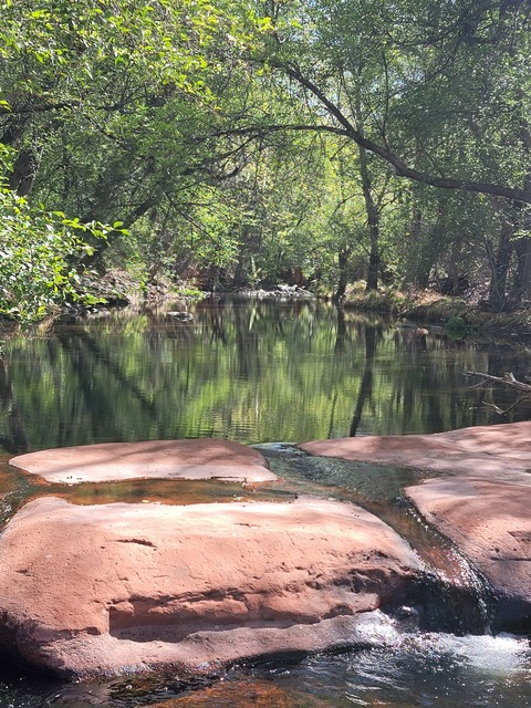 Image d'en-tête OnlyFans swedishmustangsally