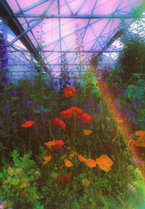 OnlyFansヘッダー写真 sweetmissmea