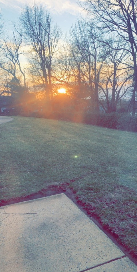 OnlyFansヘッダー写真 swildcatehigh1997