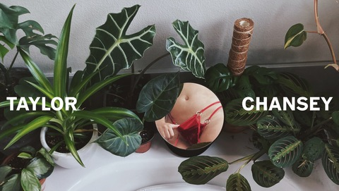 OnlyFans üst resmi t4ych4