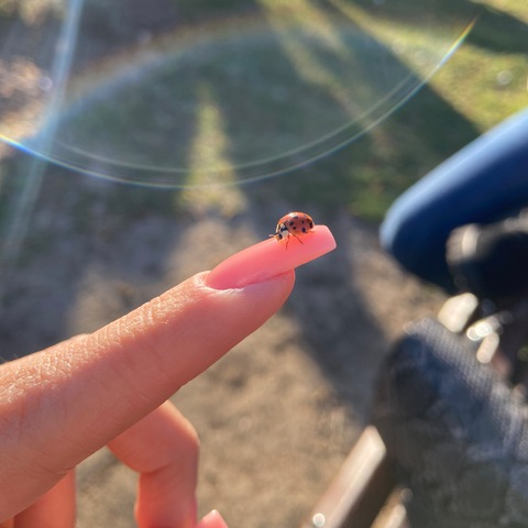 OnlyFans Titelbild tabithababy