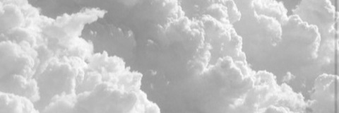 OnlyFans kopafbeelding talbakker