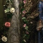 Foto do perfil do OnlyFans tammywynette